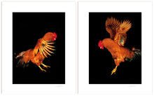 Load image into Gallery viewer, POSTER, DIE HERRENABTEILUNG, MEN'S SECTION, 2x 24 cm x 30 cm