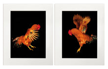 Load image into Gallery viewer, POSTER, DIE HERRENABTEILUNG, MEN'S SECTION, 2x 24 cm x 30 cm