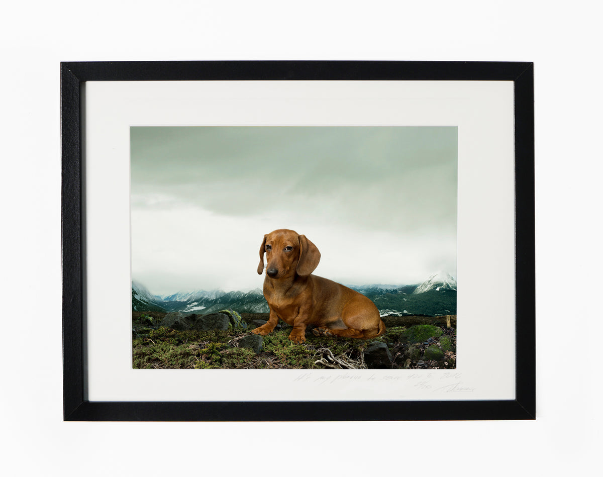 FREDI,POCKET EDITION, SIGNED & FRAMED, BEHIND ACRYLGLASS