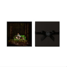 Load image into Gallery viewer, pocket edition: Hope – The green Sofa, 30 cm x 30 cm
