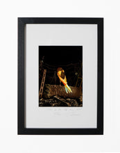 Load image into Gallery viewer, ON THE PALM TREE, POCKET EDITION, SIGNED &amp; FRAMED,  BEHIND GLASS
