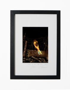 ON THE PALM TREE, POCKET EDITION, SIGNED & FRAMED,  BEHIND GLASS