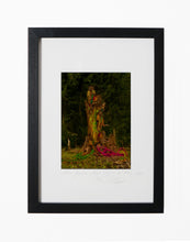 Load image into Gallery viewer, MONKEYS SITTING ON A TREE, POCKET EDITION, SIGNED &amp; FRAMED,  BEHIND GLAS
