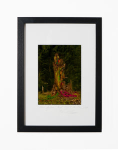 MONKEYS SITTING ON A TREE, POCKET EDITION, SIGNED & FRAMED,  BEHIND GLAS