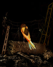 Load image into Gallery viewer, ON THE PALM TREE, POCKET EDITION, SIGNED &amp; FRAMED,  BEHIND GLASS
