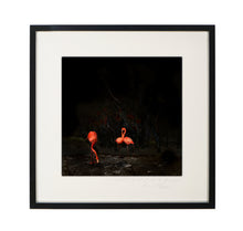 Load image into Gallery viewer, POCKET EDITION, SIGNED &amp; FRAMED,  BEHIND ACRYLGLASS
