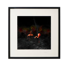 Load image into Gallery viewer, POCKET EDITION, SIGNED &amp; FRAMED,  BEHIND ACRYLGLASS
