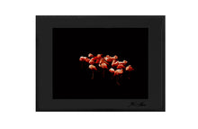 Load image into Gallery viewer, HEAVENLY PEACE, POCKET EDITION, SIGNED &amp; FRAMED,  BEHIND ACRYLGLASS
