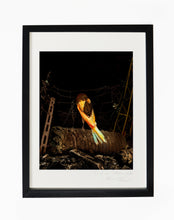 Load image into Gallery viewer, ON THE PALM TREE, POCKET EDITION, SIGNED &amp; FRAMED,  BEHIND GLASS
