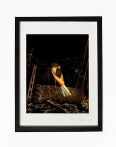 ON THE PALM TREE, POCKET EDITION, SIGNED & FRAMED,  BEHIND GLASS