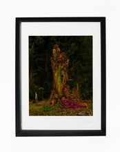 Load image into Gallery viewer, MONKEYS SITTING ON A TREE, POCKET EDITION, SIGNED &amp; FRAMED,  BEHIND GLAS
