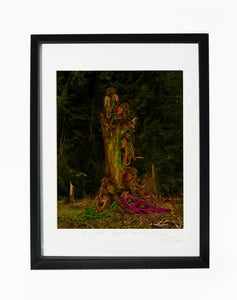 MONKEYS SITTING ON A TREE, POCKET EDITION, SIGNED & FRAMED,  BEHIND GLAS