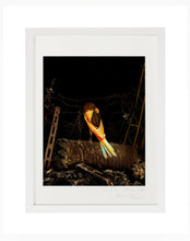 Load image into Gallery viewer, ON THE PALM TREE, POCKET EDITION, SIGNED &amp; FRAMED,  BEHIND GLASS
