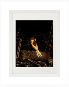 ON THE PALM TREE, POCKET EDITION, SIGNED & FRAMED,  BEHIND GLASS