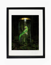 Load image into Gallery viewer, IN THE FOREST, POCKET EDITION, SIGNED &amp; FRAMED,  BEHIND GLAS
