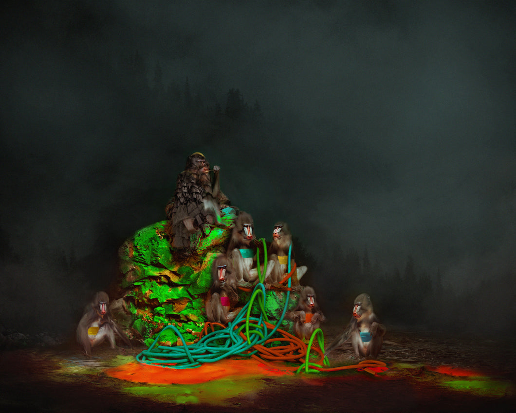 MONKEYS ON THE EDGE OF THE FOREST, POCKET EDITION, SIGNED & FRAMED,  BEHIND ACRYLGLASS