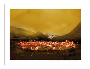 POSTER, GENTLE HIGHLAND, 60 cm x 80 cm