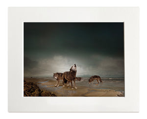 POSTER, WOLF PACK,  24 cm x 30 cm