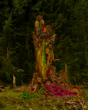 Load image into Gallery viewer, MONKEYS SITTING ON A TREE, POCKET EDITION, SIGNED &amp; FRAMED,  BEHIND GLAS
