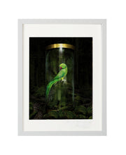 Load image into Gallery viewer, IN THE FOREST, POCKET EDITION, SIGNED &amp; FRAMED,  BEHIND GLAS
