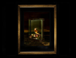 ON THE EVENING , GOLDEN FRAME, BLACK PASSEPARTOUT, different sizes