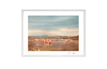 Load image into Gallery viewer, MORNINGLIGHT, POCKET EDITION, SIGNED &amp; FRAMED,  BEHIND ACRYLGLASS
