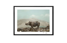 Load image into Gallery viewer, RHINO, POCKET EDITION, SIGNED &amp; FRAMED,  BEHIND ACRYLGLAS
