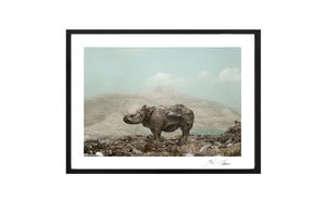 RHINO, POCKET EDITION, SIGNED & FRAMED,  BEHIND ACRYLGLAS