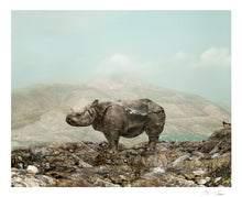 Load image into Gallery viewer, RHINO, POCKET EDITION, SIGNED &amp; FRAMED,  BEHIND ACRYLGLAS
