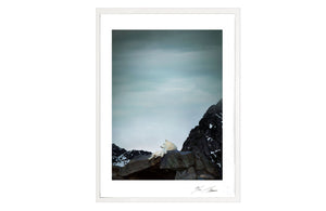 SNOWWOLF, POCKET EDITION, SIGNED & FRAMED,  BEHIND GLAS