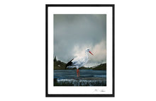 Load image into Gallery viewer, STORCH,POCKET EDITION, SIGNED &amp; FRAMED,  BEHIND ACRYLGLAS
