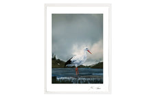 Load image into Gallery viewer, STORCH,POCKET EDITION, SIGNED &amp; FRAMED,  BEHIND ACRYLGLAS
