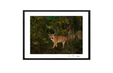 Load image into Gallery viewer, TIGER, POCKET EDITION, SIGNED &amp; FRAMED,  BEHIND ACRYLGLAS
