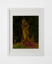 Load image into Gallery viewer, MONKEYS SITTING ON A TREE, POCKET EDITION, SIGNED &amp; FRAMED,  BEHIND GLAS
