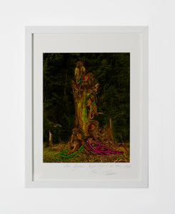 MONKEYS SITTING ON A TREE, POCKET EDITION, SIGNED & FRAMED,  BEHIND GLAS
